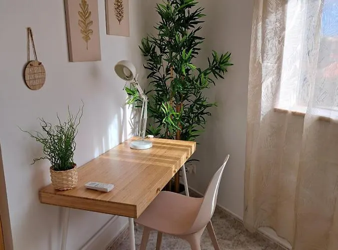 Roja Sol 알부페이라